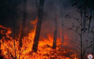 incendios-forestales-nj