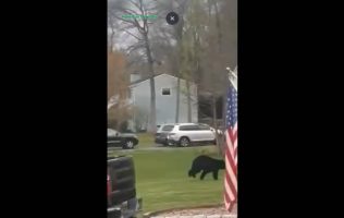 Hamilton Township oso