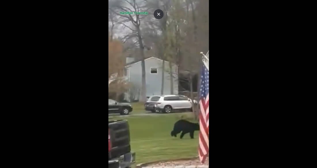 Hamilton Township oso