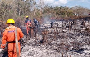 https://yucatan.quadratin.com.mx/sucesos/reducen-en-40-los-reportes-de-siniestros-forestales/
