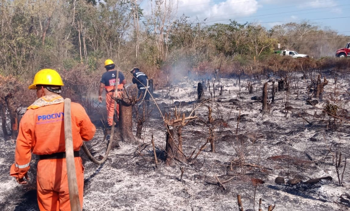 https://yucatan.quadratin.com.mx/sucesos/reducen-en-40-los-reportes-de-siniestros-forestales/