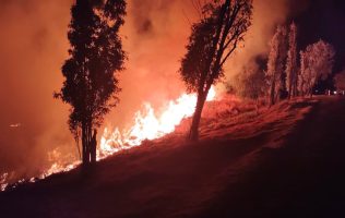 incendios forestales conafor