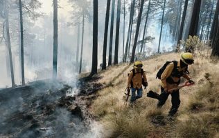 incendios-forestales-edomex