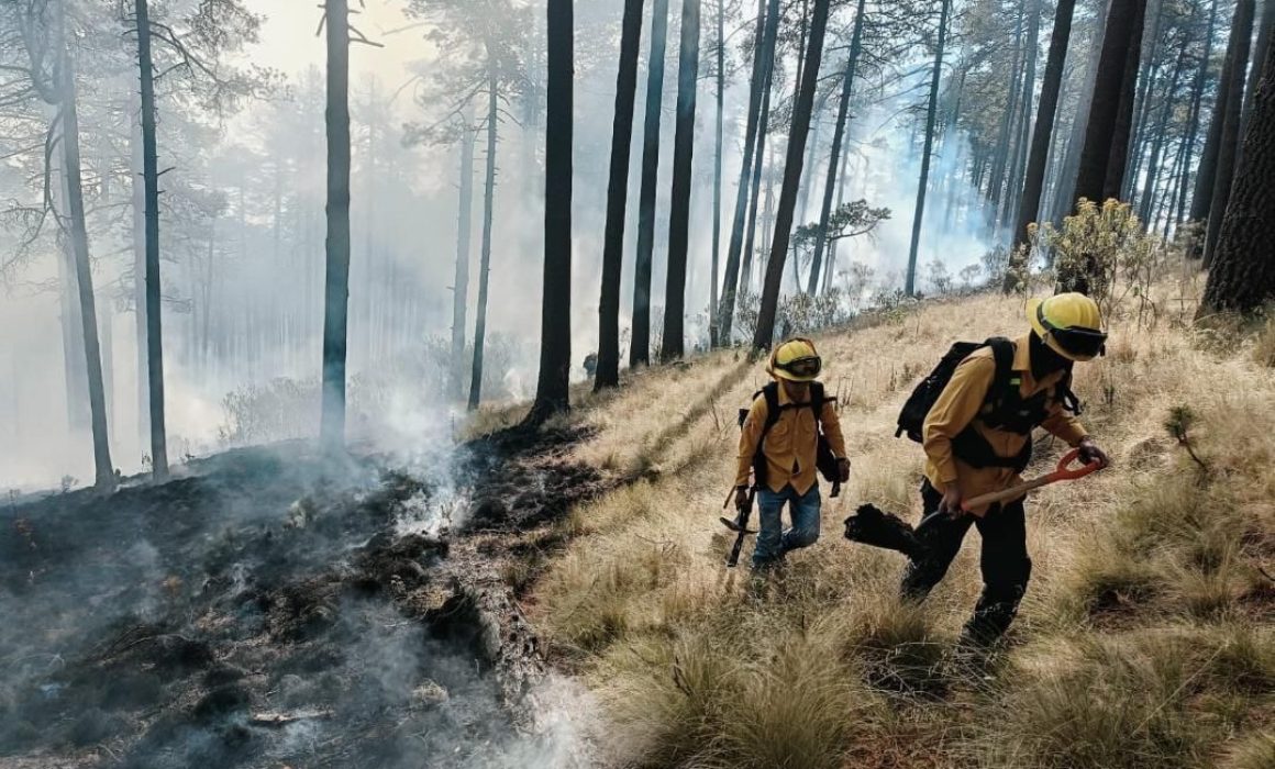 incendios-forestales-edomex