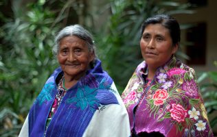 indigenas opinion