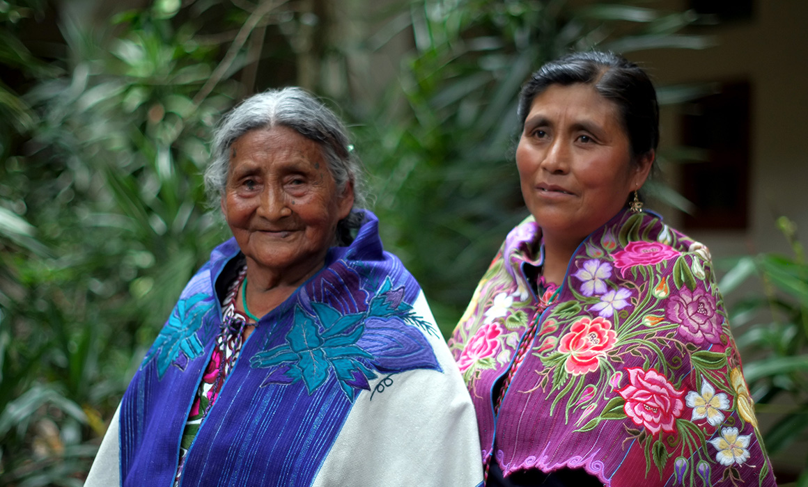 indigenas opinion