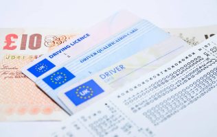 licencia-real-id