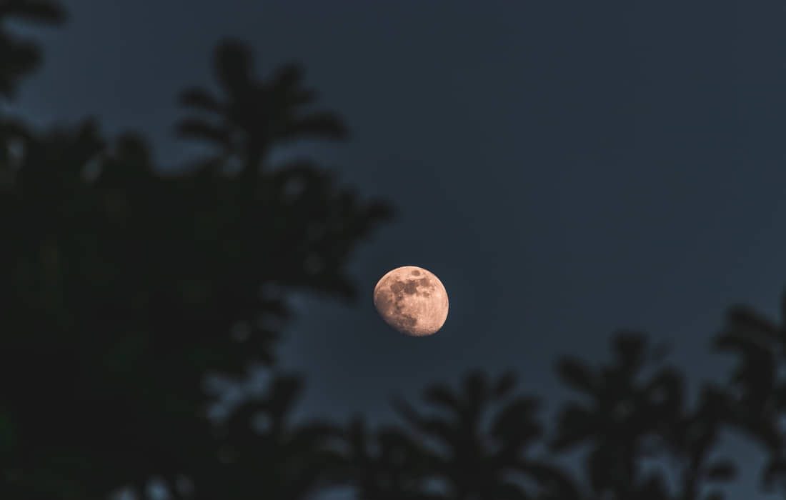 luna-rosa-latinoamerica