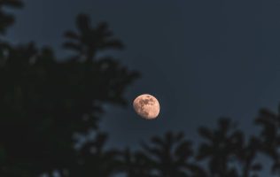 luna-rosa-latinoamerica