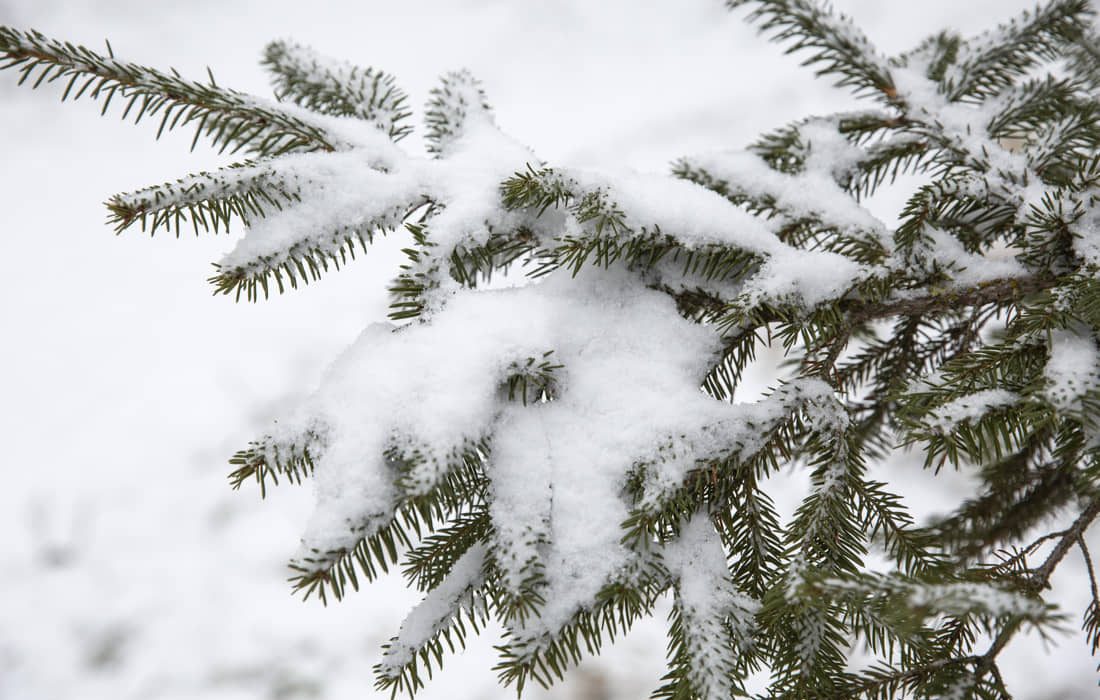 nieve-clima-abril-nueva-jersey