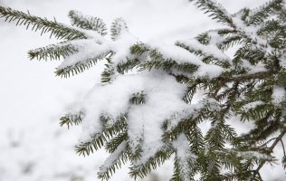 nieve-clima-abril-nueva-jersey