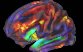 science-cerebro-genetica-china-eeuu