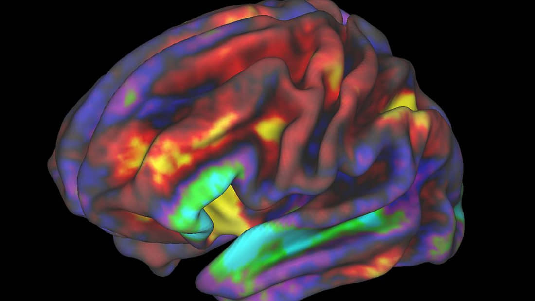 science-cerebro-genetica-china-eeuu