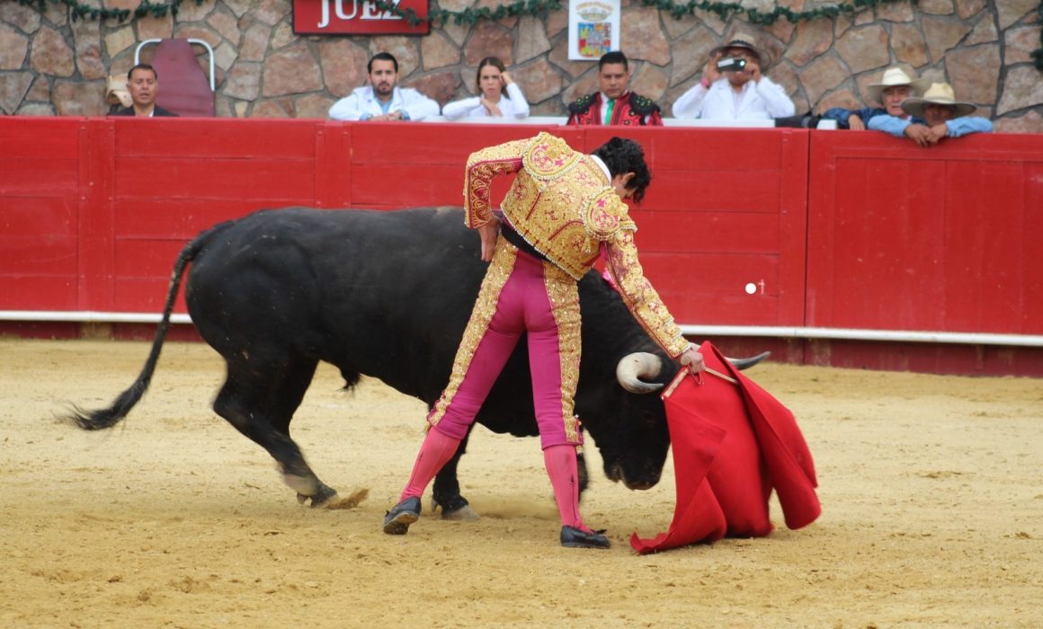 tauromaquia-corridas-toros-mexico-torero