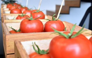 tomate