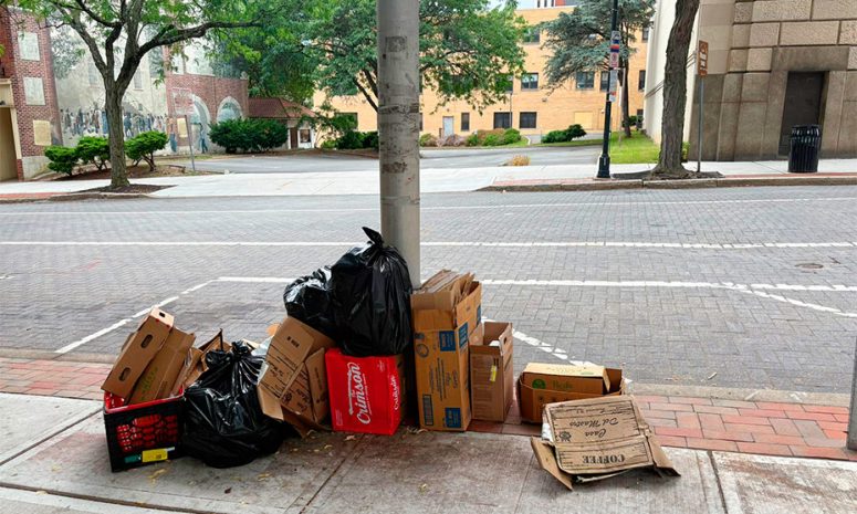 Alerta de enfermedades en el Bronx por mal manejo de basura