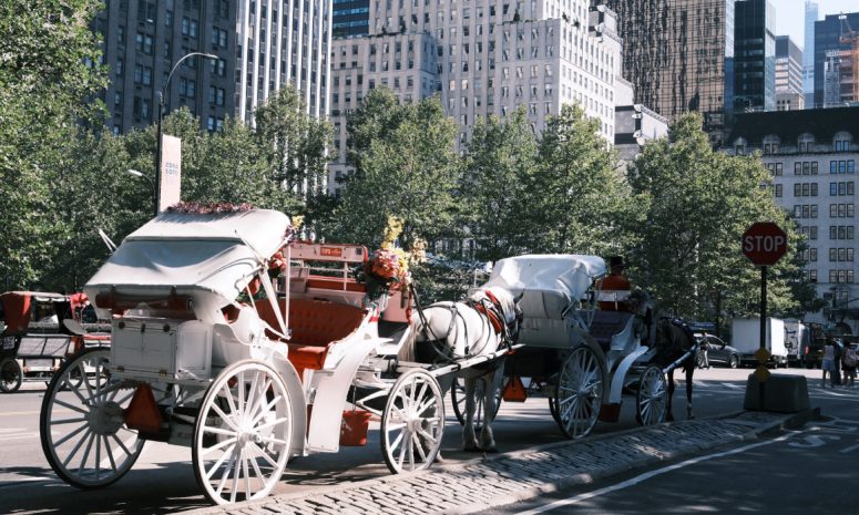 Alistan votación para prohibir carruajes de caballos en Nueva York