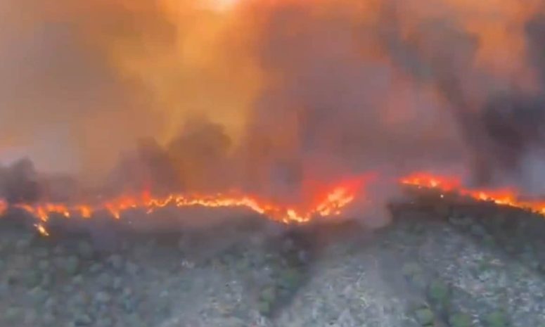 Acepta Indonesia ayuda extranjera para combatir incendios forestales