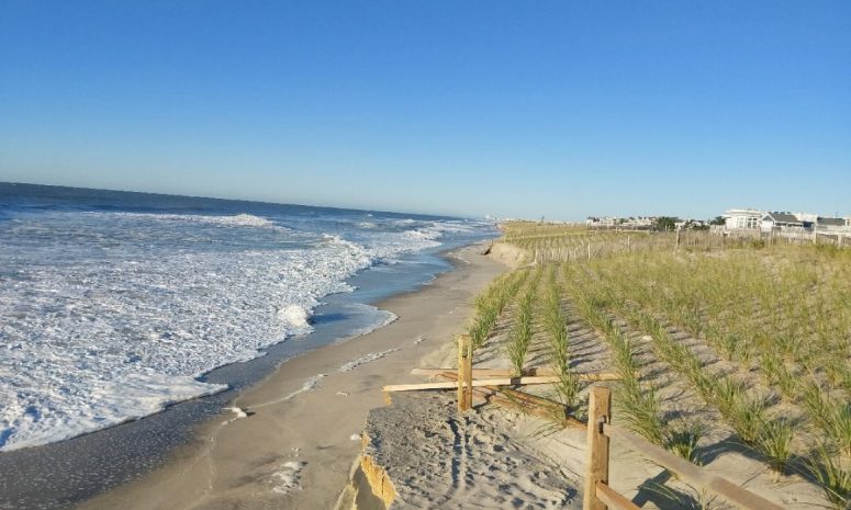 Convocan a voluntarios para limpiar playas de Nueva Jersey el 24 de octubre