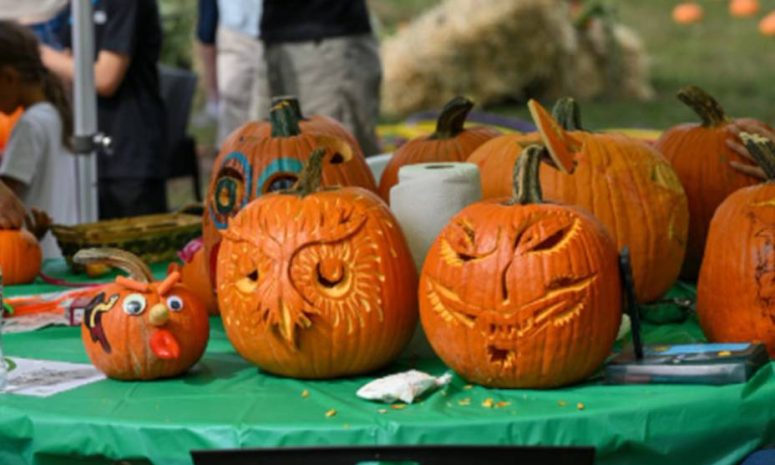 Anuncia Mamdani festivales de otoño y eventos de Halloween en NYC