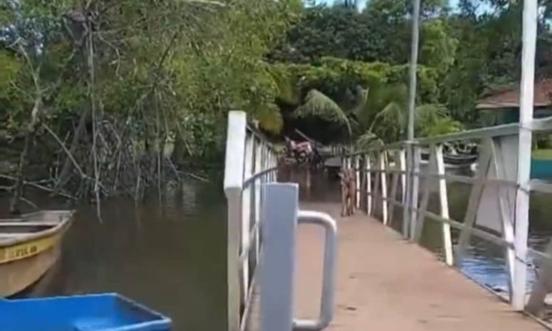 Evacúan a habitantes de Isla de Cañas en Panamá tras sismo