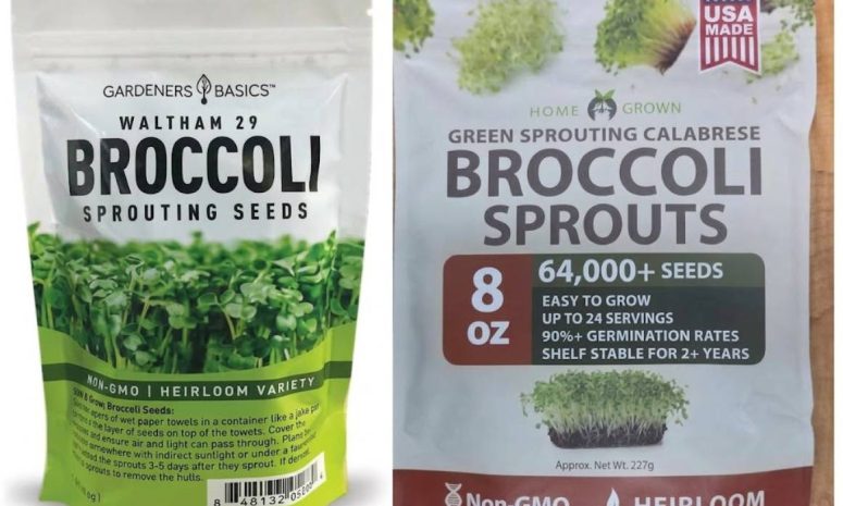 Retiran semillas de brócoli por brote de salmonela en 6 estados